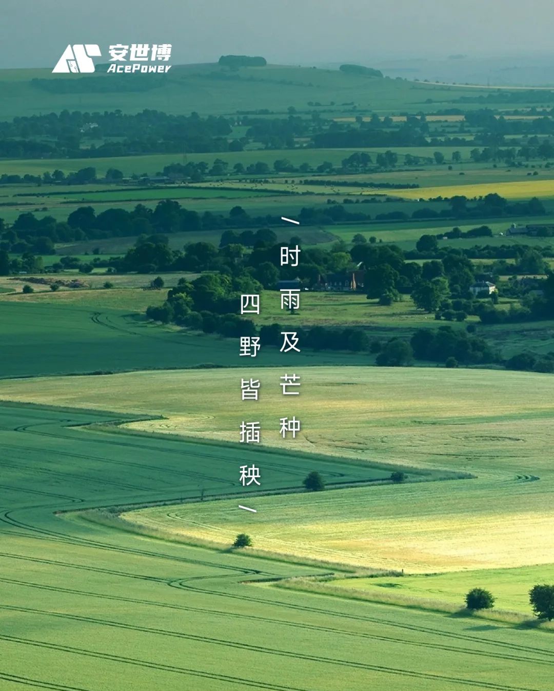 芒种 | 时雨及芒种，四野皆插秧